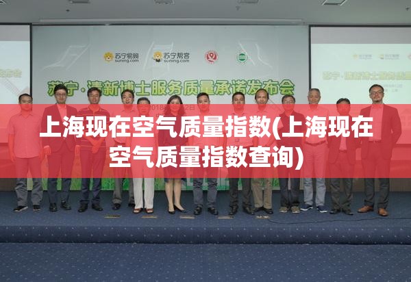 上海现在空气质量指数(上海现在空气质量指数查询) 上海现在空气质量指数(上海现在空气质量指数查询)