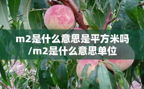 m2是什么意思是平方米吗/m2是什么意思单位 m2是什么意思是平方米吗/m2是什么意思单位