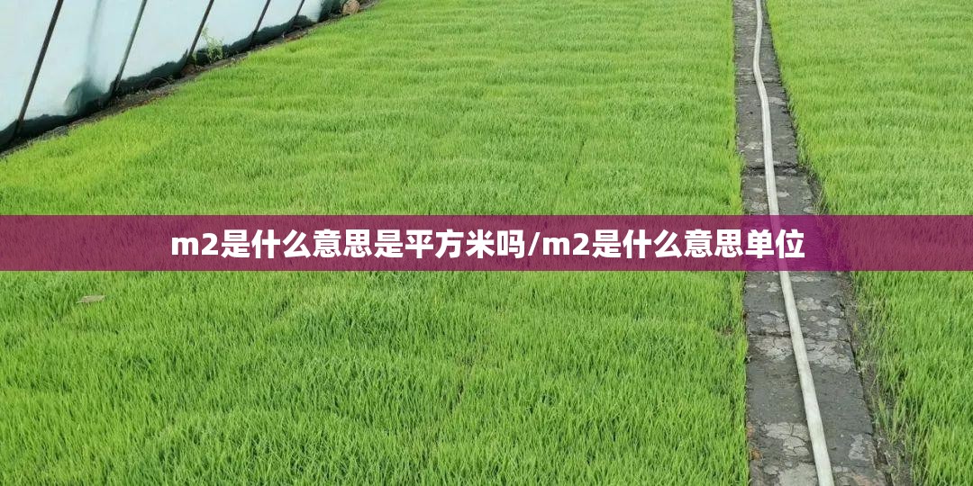 m2是什么意思是平方米吗/m2是什么意思单位 m2是什么意思是平方米吗/m2是什么意思单位