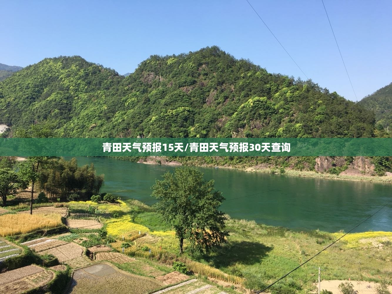 青田天气预报15天/青田天气预报30天查询