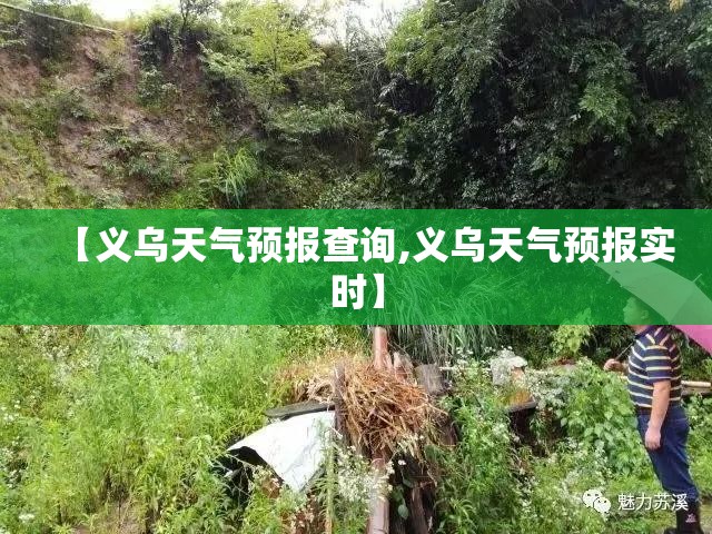 【义乌天气预报查询,义乌天气预报实时】