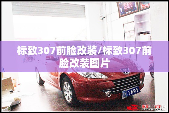 标致307前脸改装/标致307前脸改装图片 标致307前脸改装/标致307前脸改装图片
