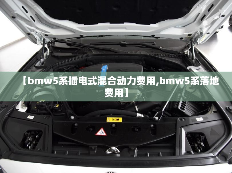 【bmw5系插电式混合动力费用,bmw5系落地费用】 【bmw5系插电式混合动力费用,bmw5系落地费用】