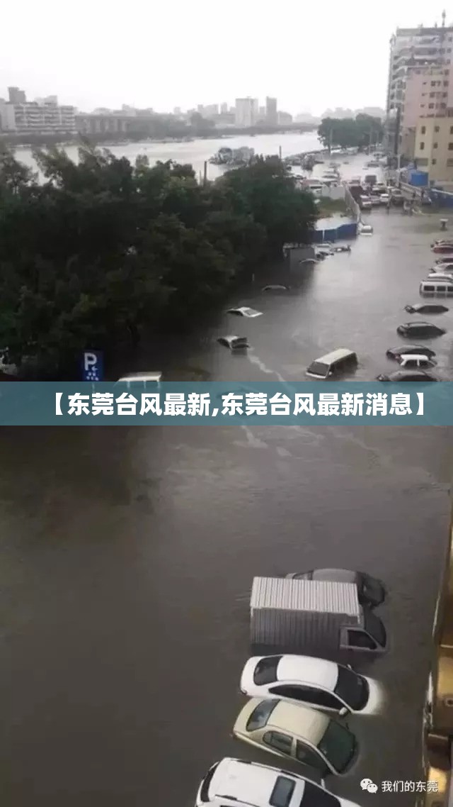【东莞台风最新,东莞台风最新消息】 【东莞台风最新,东莞台风最新消息】