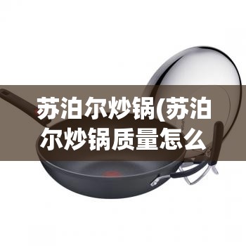 苏泊尔炒锅(苏泊尔炒锅质量怎么样)