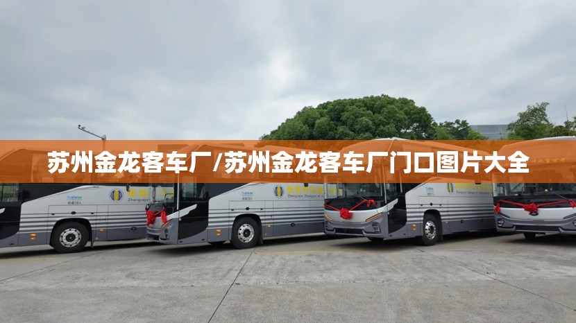苏州金龙客车厂/苏州金龙客车厂门口图片大全 苏州金龙客车厂/苏州金龙客车厂门口图片大全