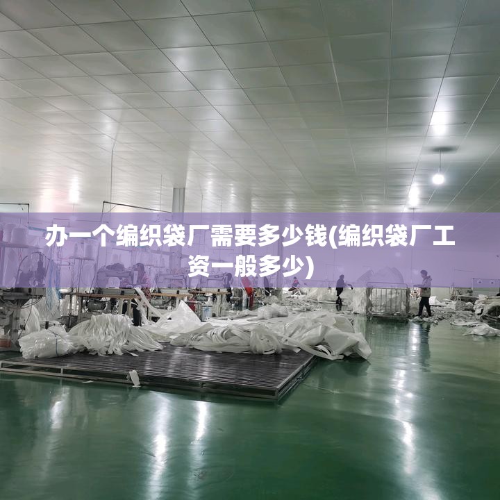 办一个编织袋厂需要多少钱(编织袋厂工资一般多少) 办一个编织袋厂需要多少钱(编织袋厂工资一般多少)