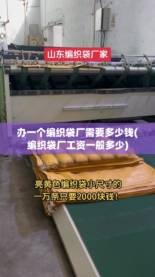 办一个编织袋厂需要多少钱(编织袋厂工资一般多少) 办一个编织袋厂需要多少钱(编织袋厂工资一般多少)