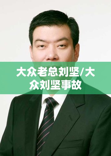 大众老总刘坚/大众刘坚事故