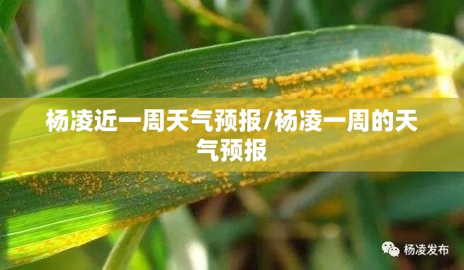 杨凌近一周天气预报/杨凌一周的天气预报 杨凌近一周天气预报/杨凌一周的天气预报