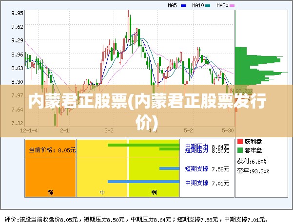 内蒙君正股票(内蒙君正股票发行价)