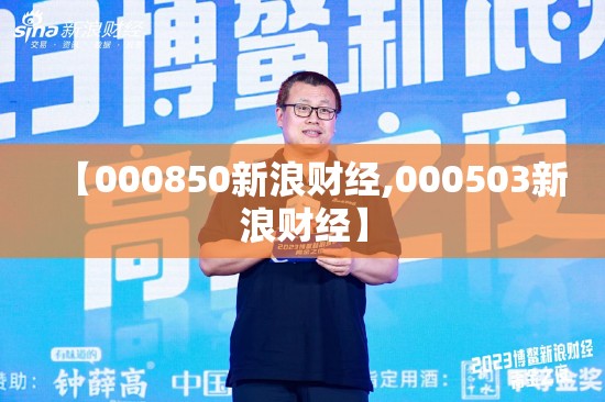 【000850新浪财经,000503新浪财经】 【000850新浪财经,000503新浪财经】