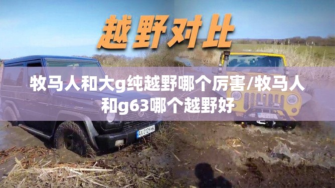 牧马人和大g纯越野哪个厉害/牧马人和g63哪个越野好 牧马人和大g纯越野哪个厉害/牧马人和g63哪个越野好