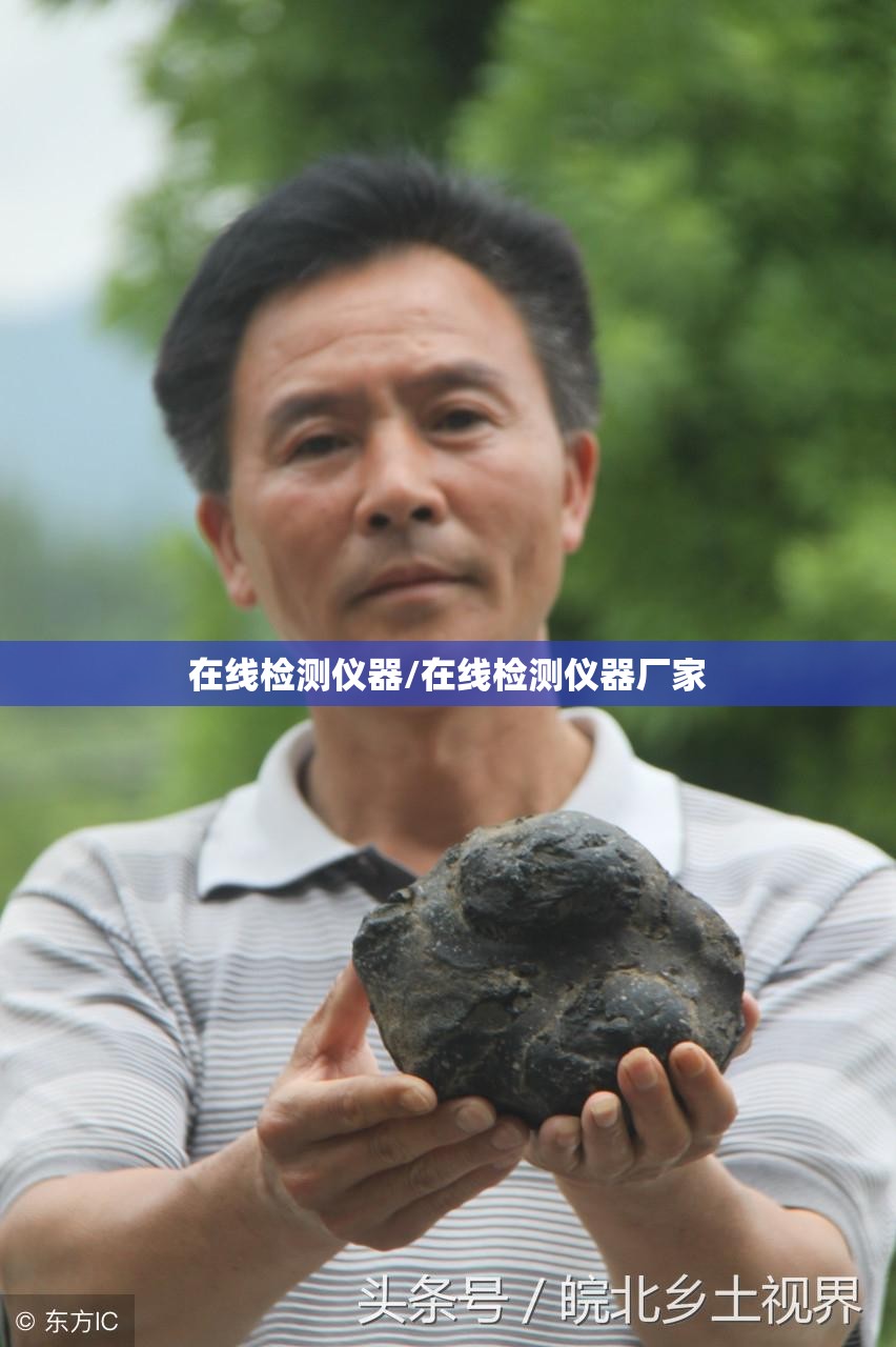 在线检测仪器/在线检测仪器厂家 在线检测仪器/在线检测仪器厂家