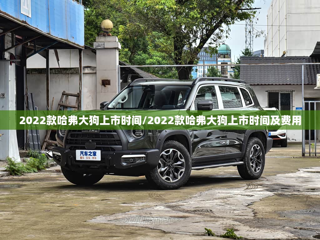 2022款哈弗大狗上市时间/2022款哈弗大狗上市时间及费用 2022款哈弗大狗上市时间/2022款哈弗大狗上市时间及费用