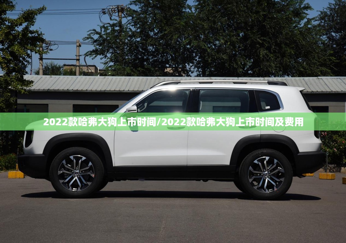 2022款哈弗大狗上市时间/2022款哈弗大狗上市时间及费用 2022款哈弗大狗上市时间/2022款哈弗大狗上市时间及费用