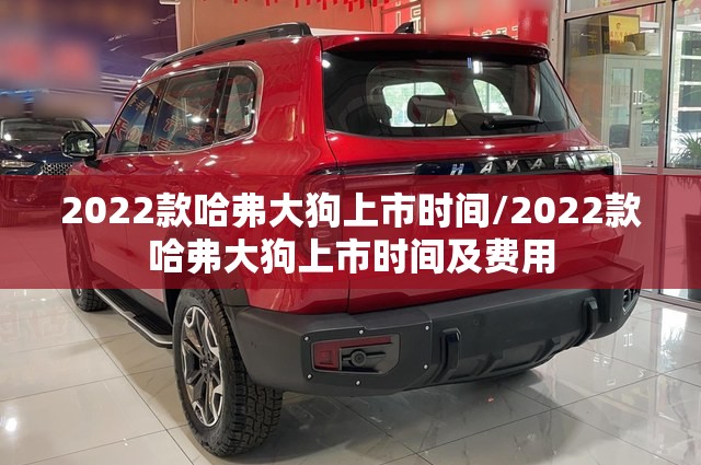 2022款哈弗大狗上市时间/2022款哈弗大狗上市时间及费用 2022款哈弗大狗上市时间/2022款哈弗大狗上市时间及费用