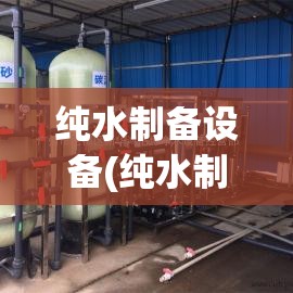 纯水制备设备(纯水制备的原理与工艺)