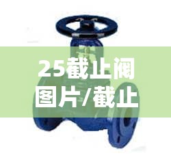 25截止阀图片/截止阀图片 结构图 25截止阀图片/截止阀图片 结构图