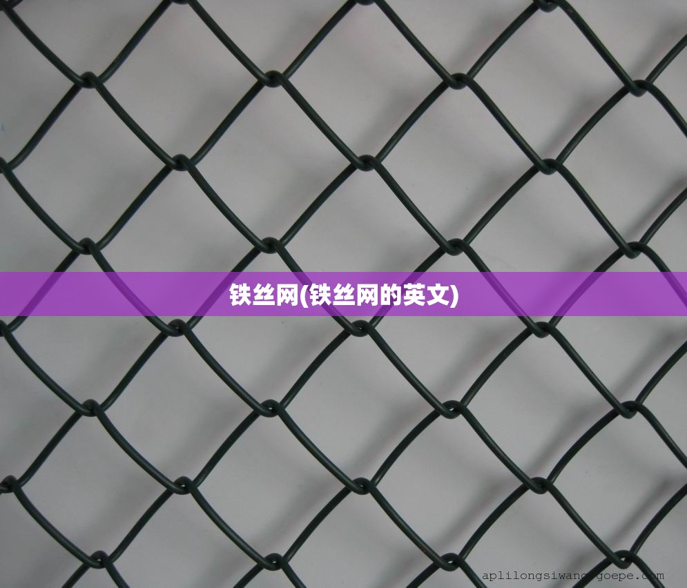 铁丝网(铁丝网的英文) 铁丝网(铁丝网的英文)