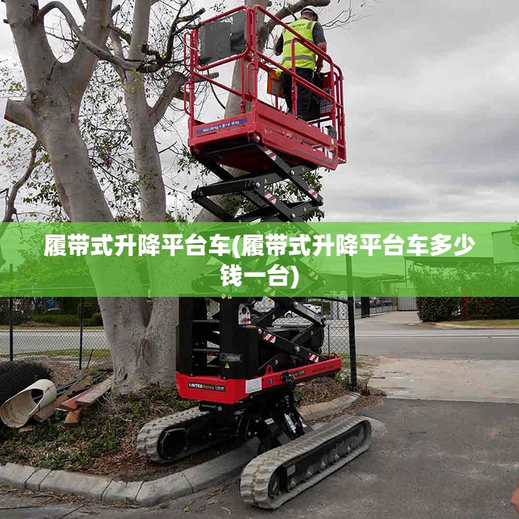 履带式升降平台车(履带式升降平台车多少钱一台) 履带式升降平台车(履带式升降平台车多少钱一台)