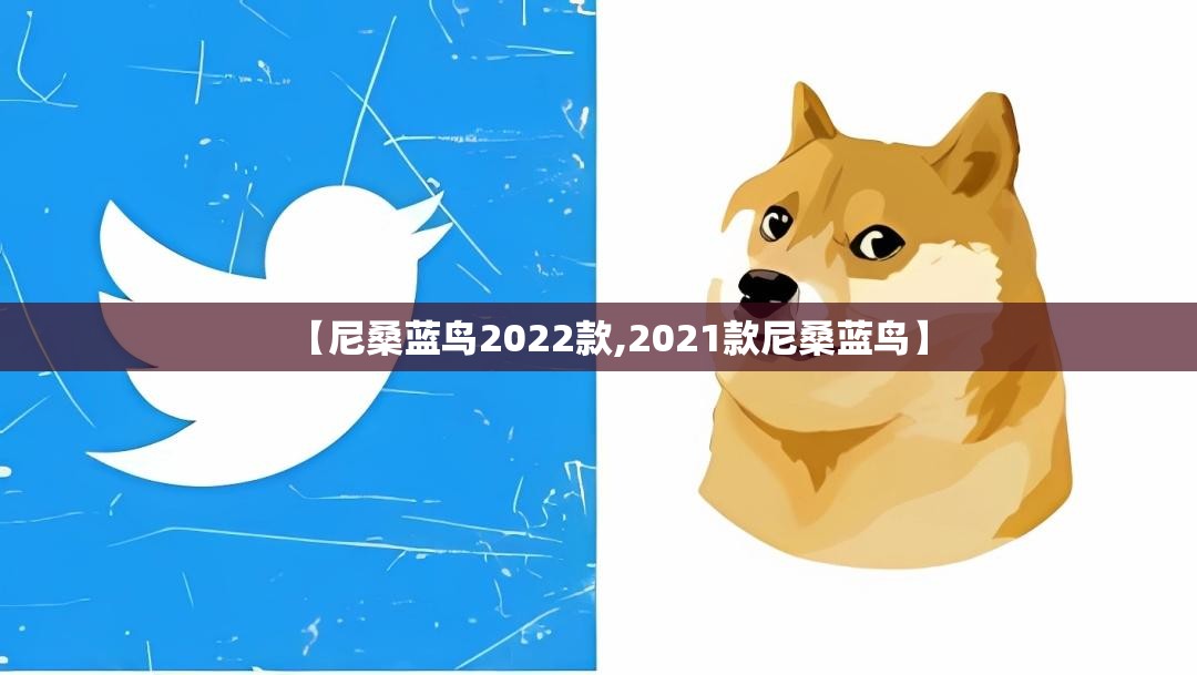 【尼桑蓝鸟2022款,2021款尼桑蓝鸟】 【尼桑蓝鸟2022款,2021款尼桑蓝鸟】