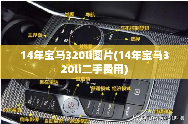 14年宝马320li图片(14年宝马320li二手费用) 14年宝马320li图片(14年宝马320li二手费用)