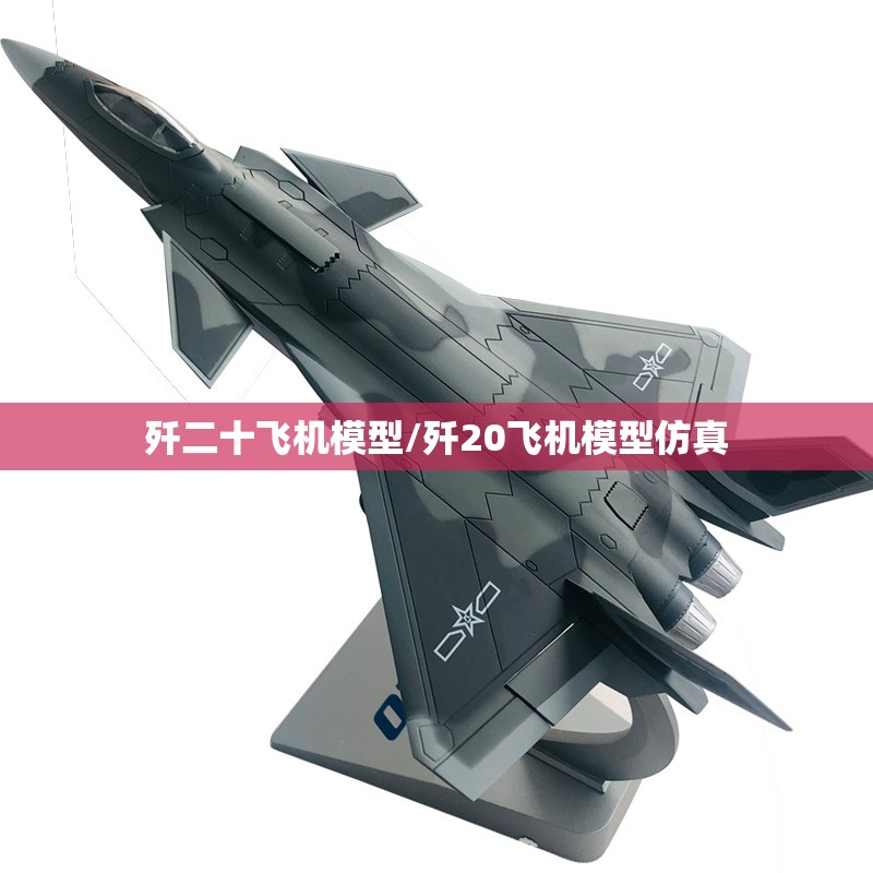 歼二十飞机模型/歼20飞机模型仿真 歼二十飞机模型/歼20飞机模型仿真