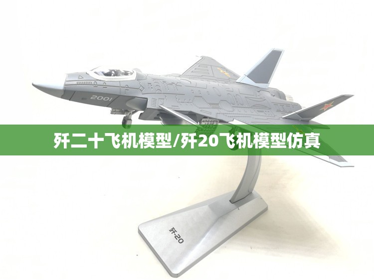 歼二十飞机模型/歼20飞机模型仿真 歼二十飞机模型/歼20飞机模型仿真