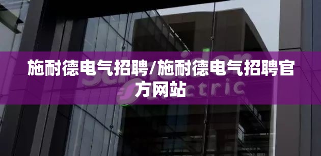 施耐德电气招聘/施耐德电气招聘官方网站 施耐德电气招聘/施耐德电气招聘官方网站