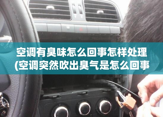 空调有臭味怎么回事怎样处理(空调突然吹出臭气是怎么回事) 空调有臭味怎么回事怎样处理(空调突然吹出臭气是怎么回事)