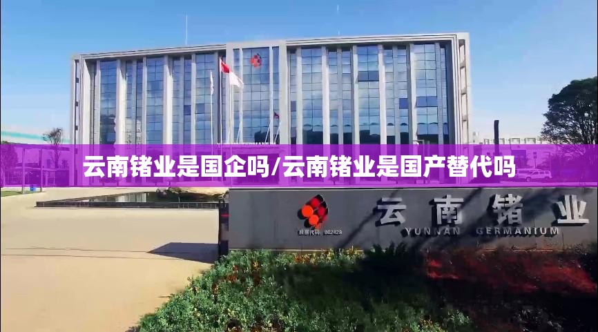 云南锗业是国企吗/云南锗业是国产替代吗