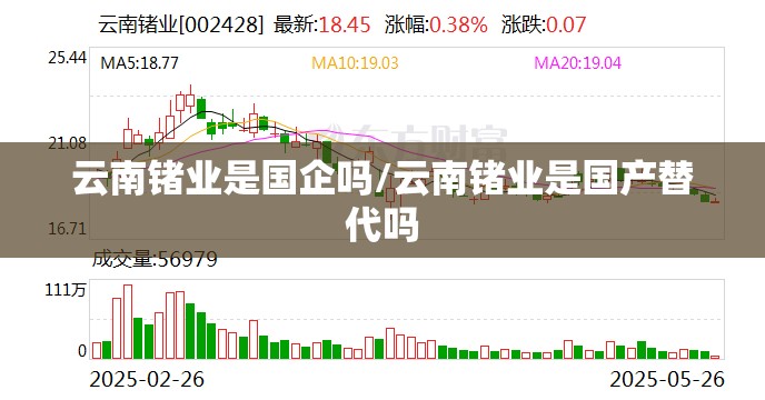 云南锗业是国企吗/云南锗业是国产替代吗