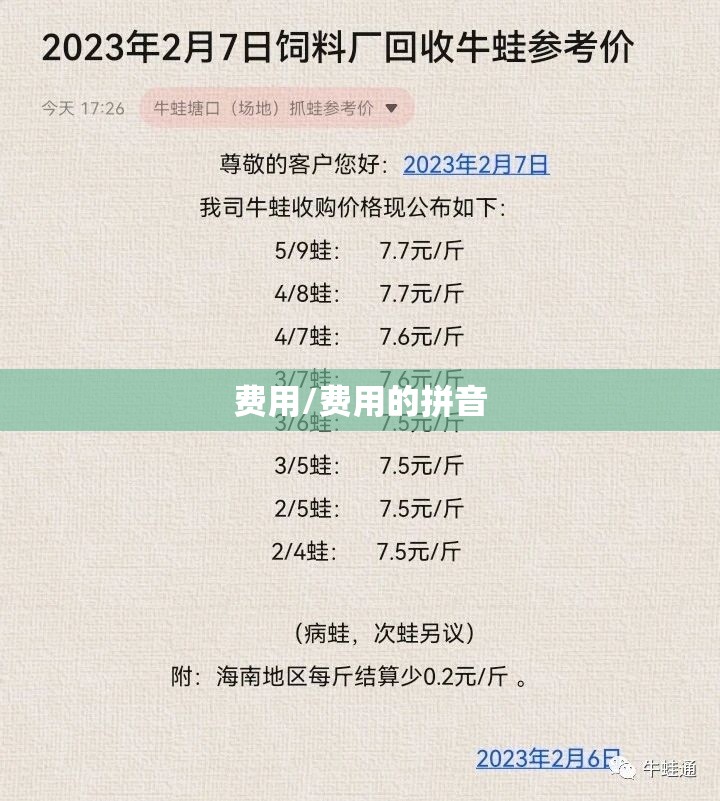 费用/费用的拼音 费用/费用的拼音