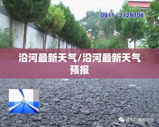 沿河最新天气/沿河最新天气预报
