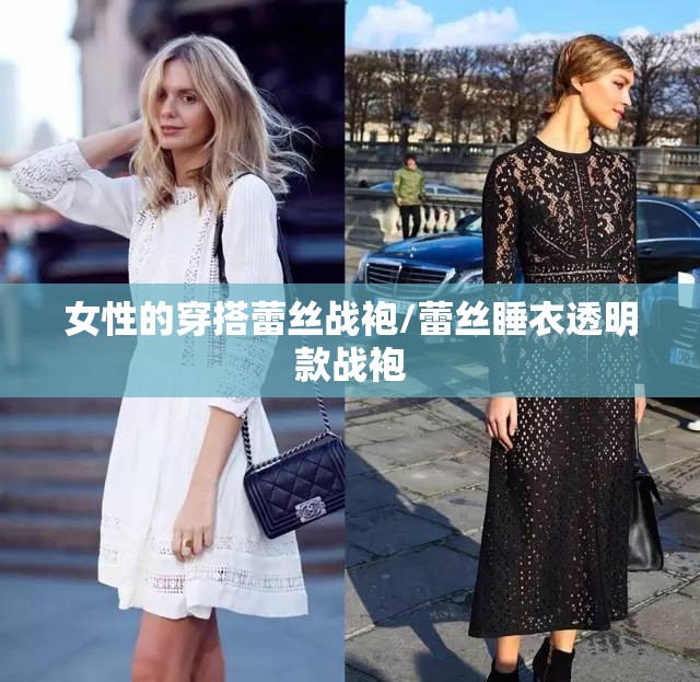 女性的穿搭蕾丝战袍/蕾丝睡衣透明款战袍 女性的穿搭蕾丝战袍/蕾丝睡衣透明款战袍