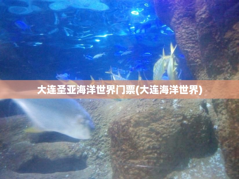 大连圣亚海洋世界门票(大连海洋世界)