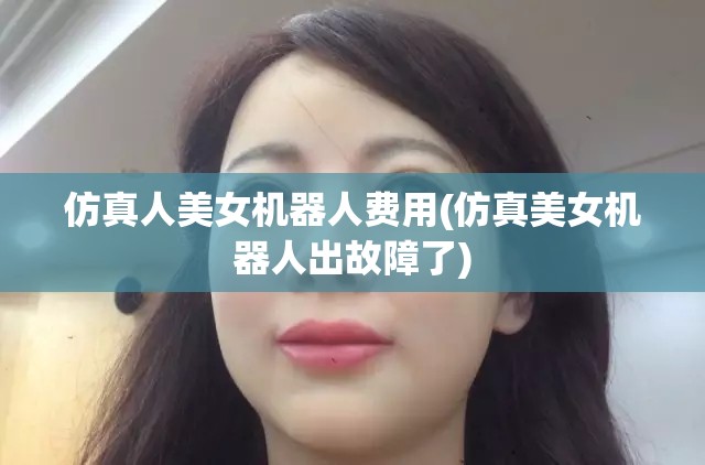 仿真人美女机器人费用(仿真美女机器人出故障了) 仿真人美女机器人费用(仿真美女机器人出故障了)