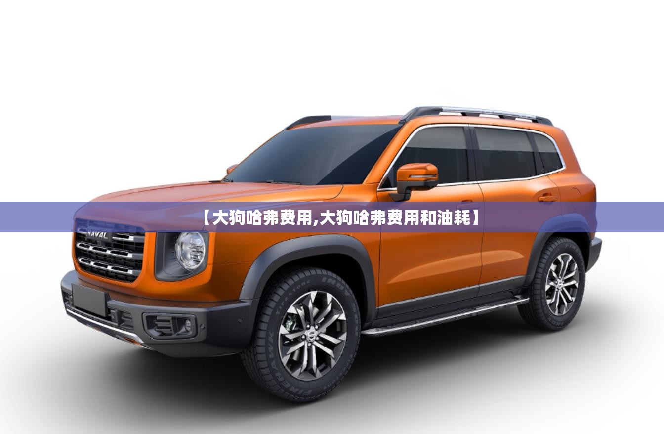 【大狗哈弗费用,大狗哈弗费用和油耗】