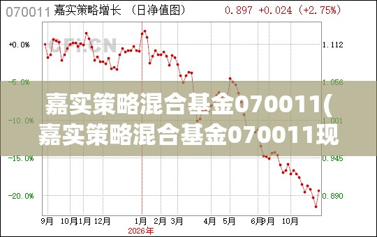 嘉实策略混合基金070011(嘉实策略混合基金070011现在值得买吗)