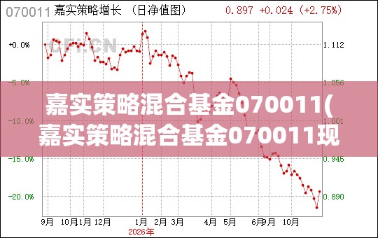 嘉实策略混合基金070011(嘉实策略混合基金070011现在值得买吗)