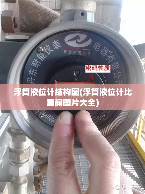 浮筒液位计结构图(浮筒液位计比重阀图片大全) 浮筒液位计结构图(浮筒液位计比重阀图片大全)