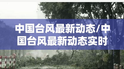 中国台风最新动态/中国台风最新动态实时