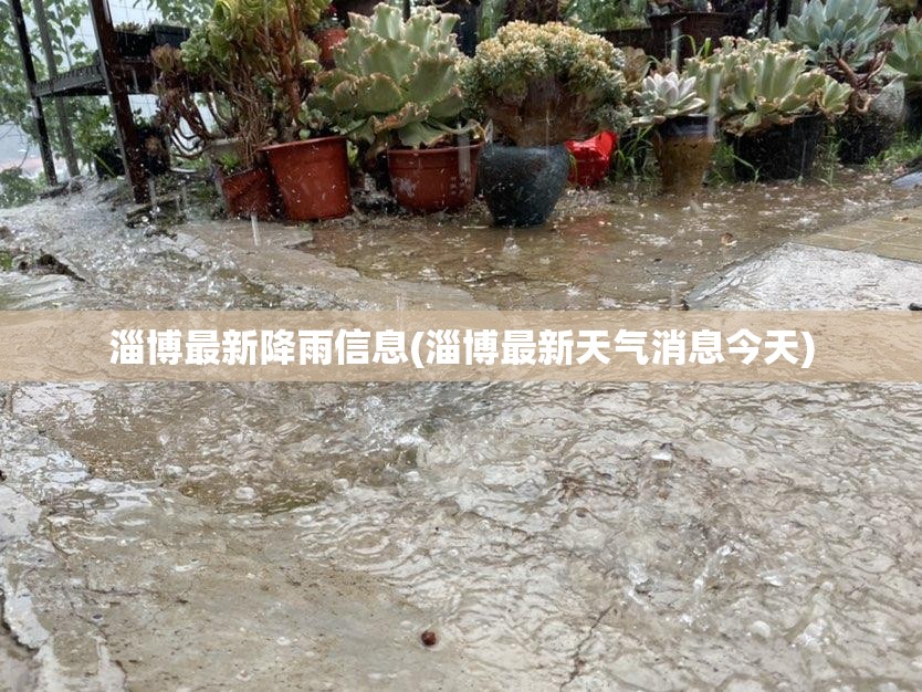 淄博最新降雨信息(淄博最新天气消息今天) 淄博最新降雨信息(淄博最新天气消息今天)