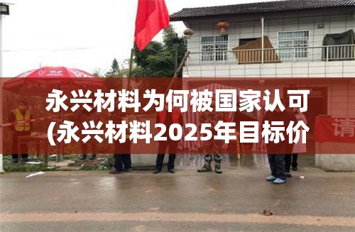 永兴材料为何被国家认可(永兴材料2025年目标价)