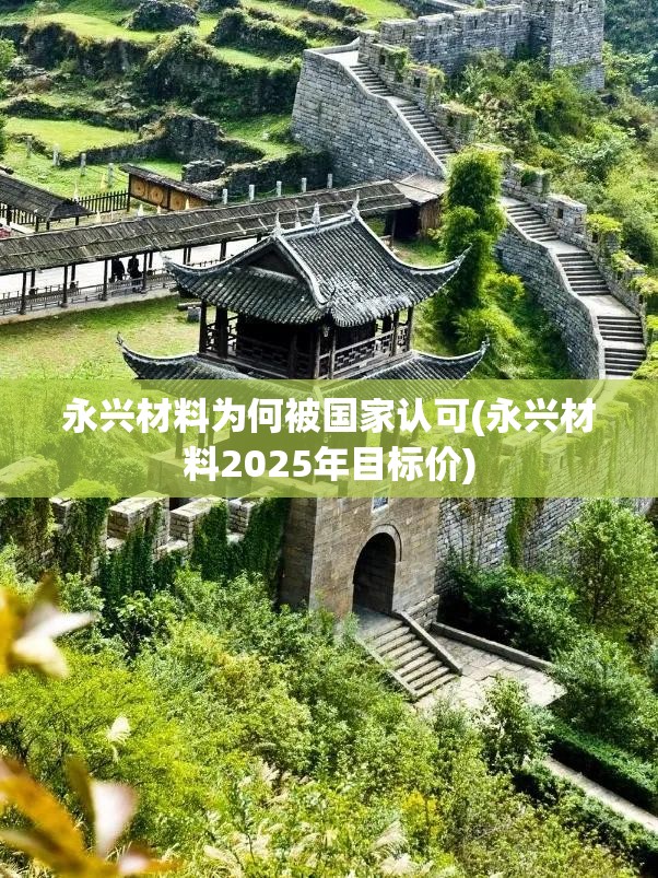 永兴材料为何被国家认可(永兴材料2025年目标价)
