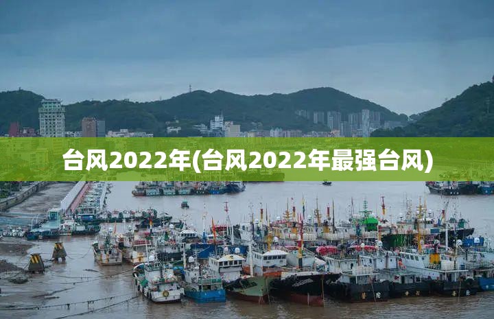 台风2022年(台风2022年最强台风) 台风2022年(台风2022年最强台风)