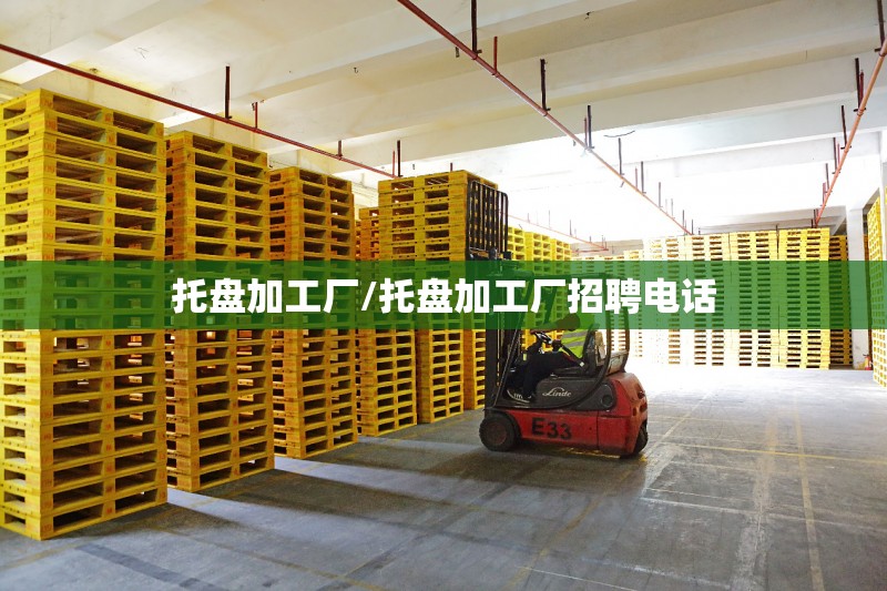 托盘加工厂/托盘加工厂招聘电话 托盘加工厂/托盘加工厂招聘电话