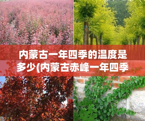 内蒙古一年四季的温度是多少(内蒙古赤峰一年四季温度) 内蒙古一年四季的温度是多少(内蒙古赤峰一年四季温度)