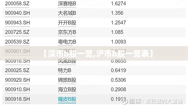【深市b股一览,沪市b股一览表】 【深市b股一览,沪市b股一览表】